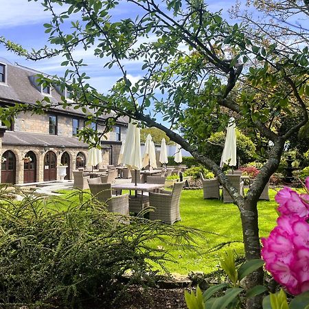 Le Friquet Hotel Castel Exteriör bild